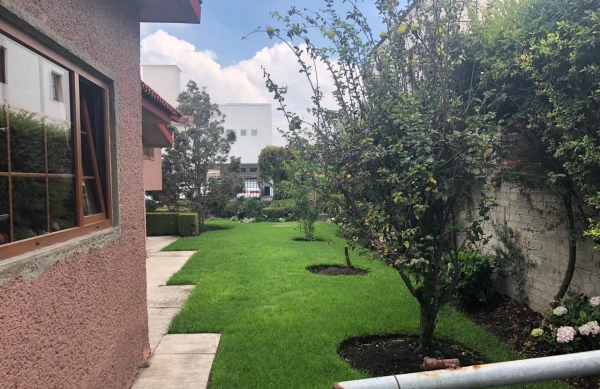 ARBOLES FURTALES  RESIDENCIA EN LA ASUNCIÓN METEPEC, MEXICO